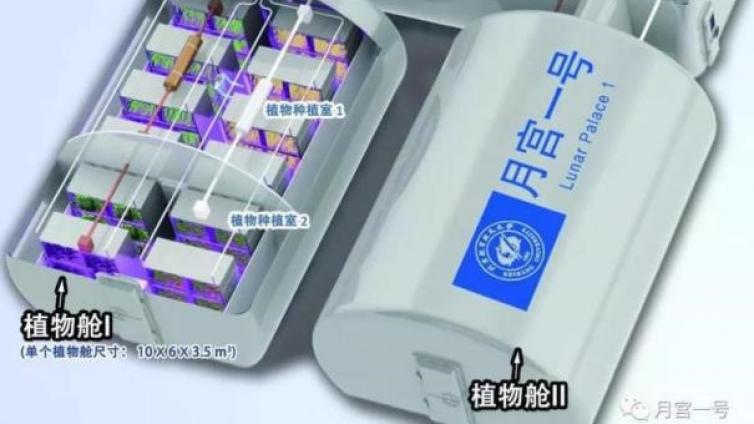 月面首株嫩芽！全靠“不锈钢饭盒”