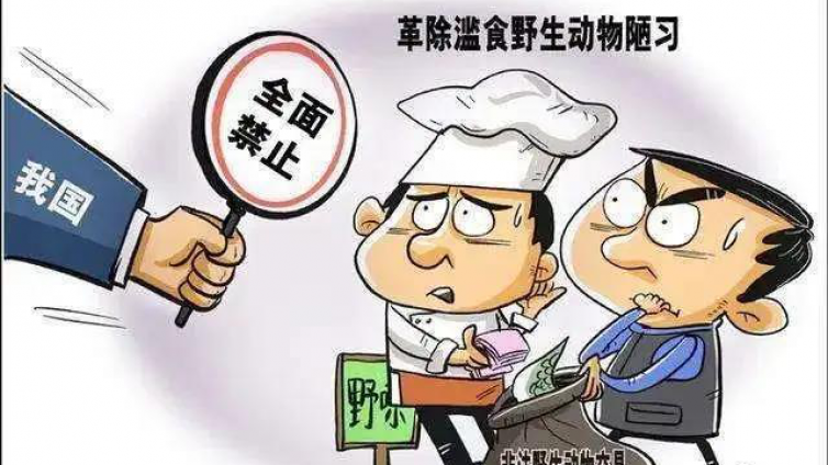 弄清“野味”真相 别让“吃货”变“吃祸”
