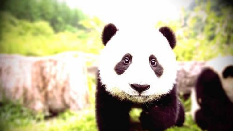 拿什么拯救你，我的黑眼圈？专家：对症下药才能见效