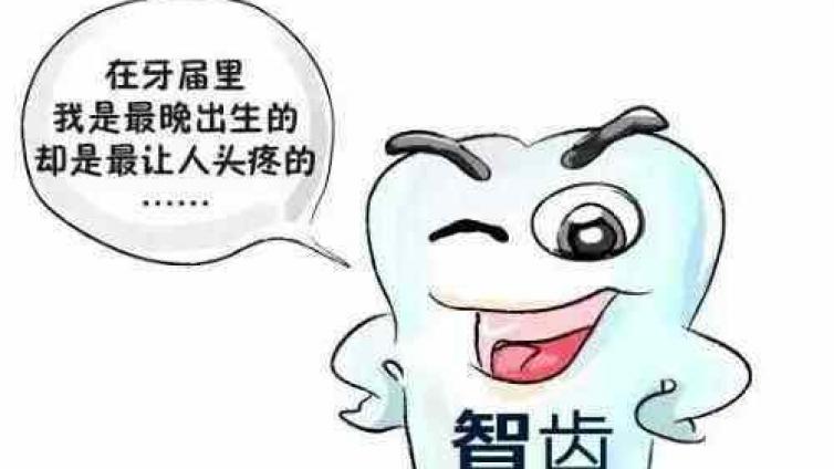 智齿拔还是不拔？关键看这两点