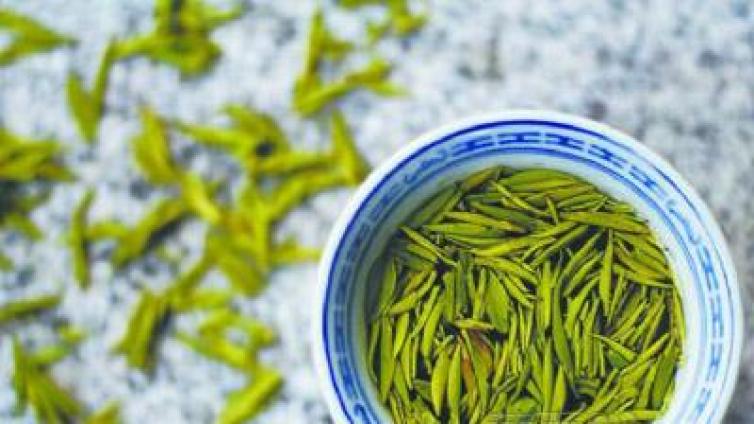 栽培与加工：茶的历史“苦”程