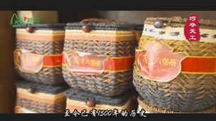 梧州记忆