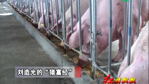 《农业实用技术推广》系列之《刘造光的“猪富经”》 