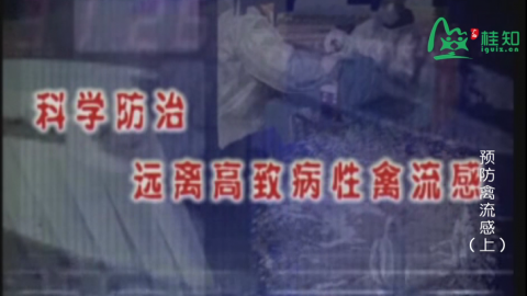 《农业实用技术推广》系列之《科学防治远离高致病性禽流感》
