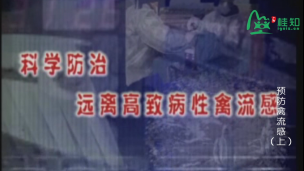 《农业实用技术推广》系列之《科学防治远离高致病性禽流感》