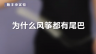 350个科学小实验微课程——为什么风筝都有尾巴