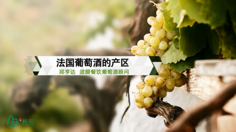 健康饮品和酒类简介