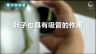 350个科学小实验微课程——叶子也具有吸管的作用