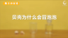 350个科学小实验微课程——贝壳为什么会冒泡泡