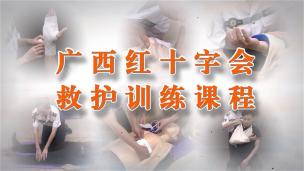 救护员证理论教学视频