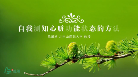 心脏系统与藏像模型详解