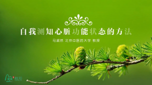 心脏系统与藏像模型详解