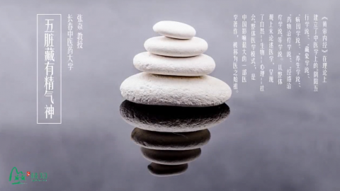 五脏六腑的养生之道