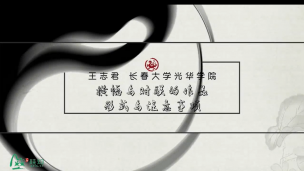 书法绘画理论与实践