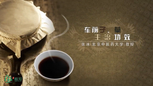 常见中药的认识与使用