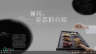 神药：藿香的介绍