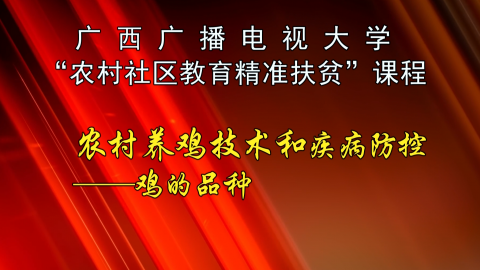 广西广播电视大学“农村社区教育精准扶贫”课程——农村养鸡技术和疾病防控