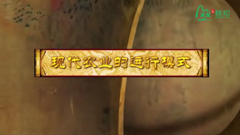 现代农业的运行模式