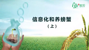 信息化和养螃蟹