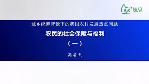 农民的社会保障与福利