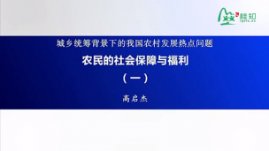 农民的社会保障与福利