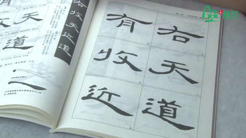硬笔书法课程