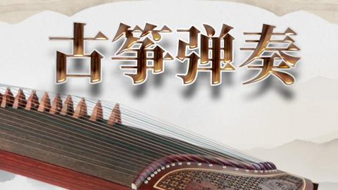 古筝弹奏
