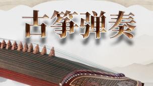 古筝弹奏