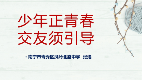 少年正青春，交友须引导