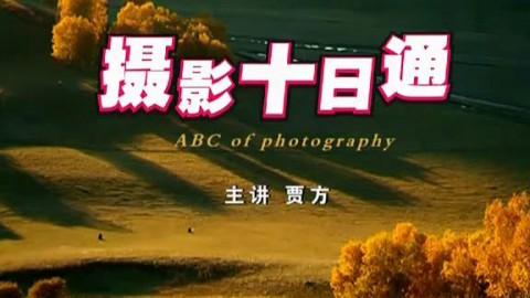 摄影十日通
