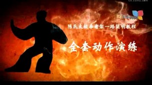 陈氏太极入门