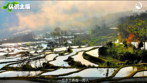 生态菜园第一课——土壤