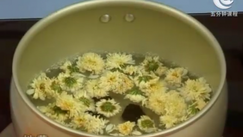 美容养颜药膳
