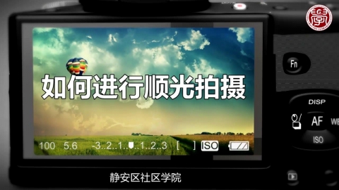 如何进行顺光拍摄？