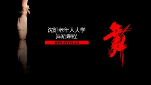 蒙古族舞蹈《鸿雁》整体赏析