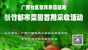 广西电视台新闻在线栏目报道——楼顶就是田园风，都市菜园不是梦