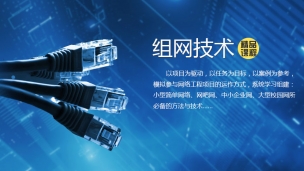 组网技术